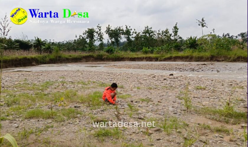 template berita foto warta desa