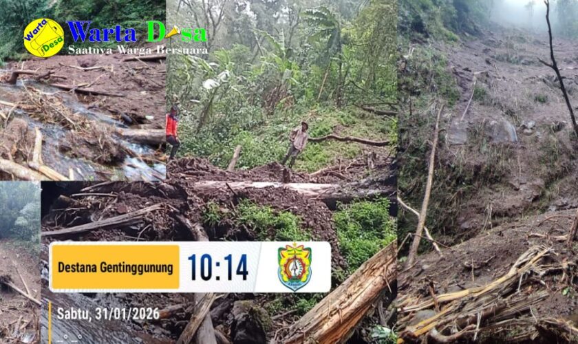 template berita foto warta desa