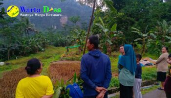 template berita foto warta desa(3)