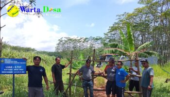 template berita foto warta desa