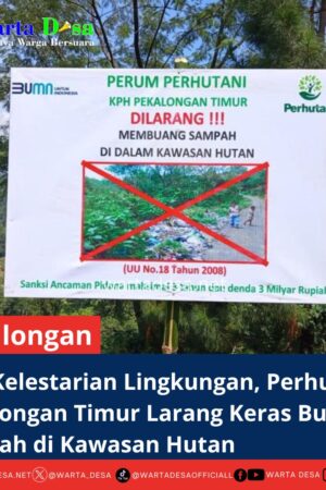 template berita foto warta desa(1)