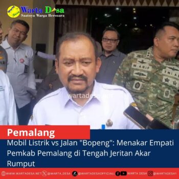template berita foto warta desa