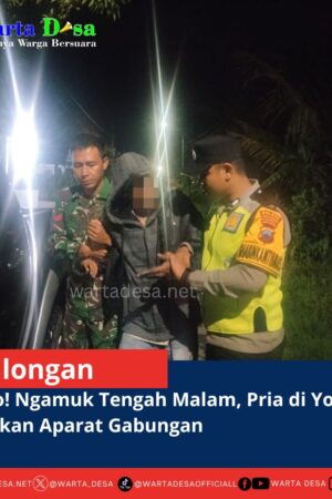 template berita foto warta desa(1)
