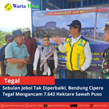 template berita foto warta desa(2)