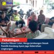 template berita foto warta desa(2)