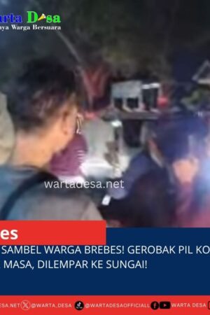 template berita foto warta desa(6)