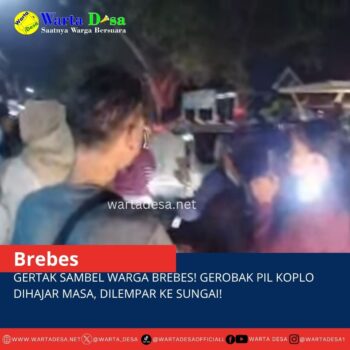 template berita foto warta desa(6)