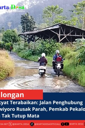 template berita foto warta desa