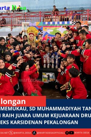 template berita foto warta desa