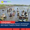 template berita foto warta desa