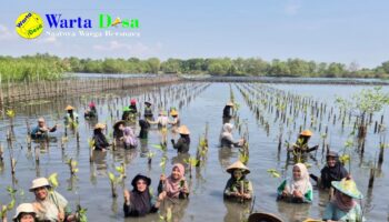 template berita foto warta desa