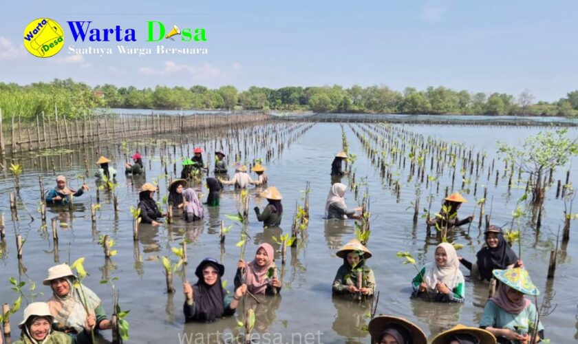 template berita foto warta desa