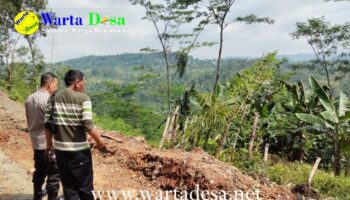 template berita foto warta desa