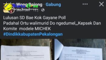 template berita foto warta desa(7)
