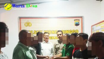 template berita foto warta desa(13)