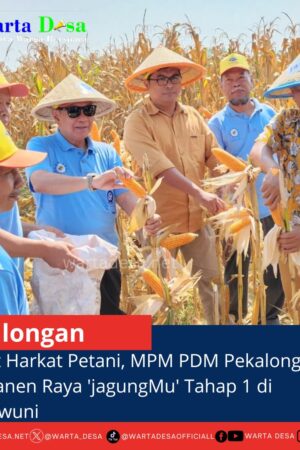 template berita foto warta desa(3)