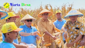 template berita foto warta desa(3)