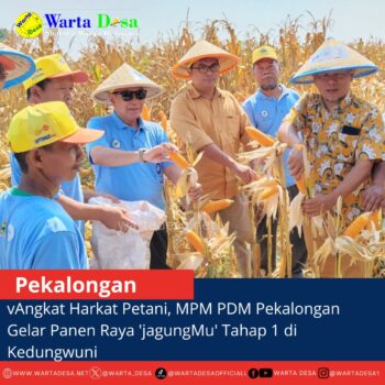 template berita foto warta desa(3)