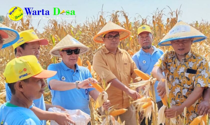 template berita foto warta desa(3)