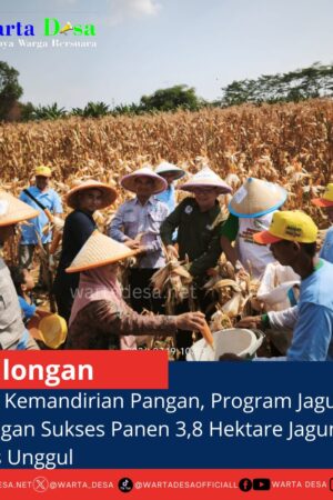 template berita foto warta desa(4)