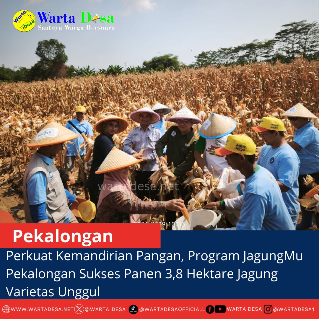 template berita foto warta desa(4)