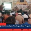 berita web