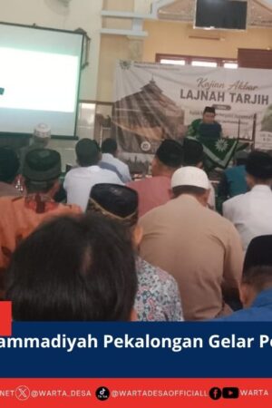berita web