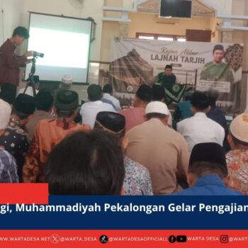 berita web