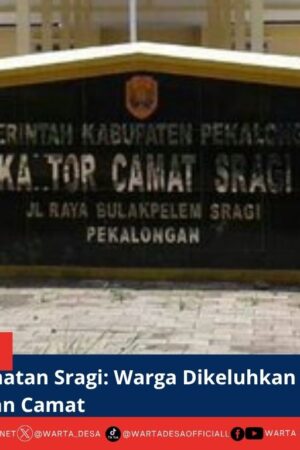 berita web