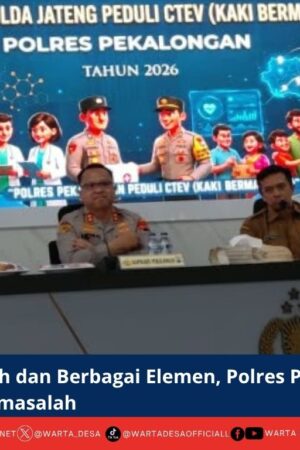 berita web