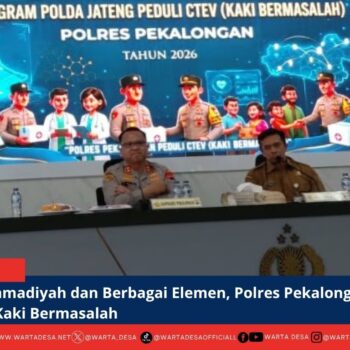 berita web