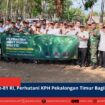 berita web