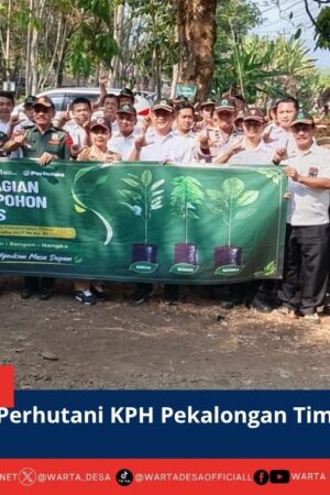 berita web