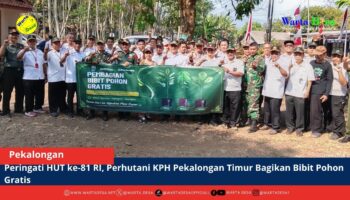 berita web