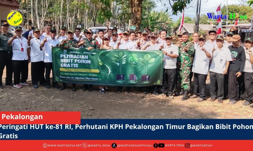 berita web
