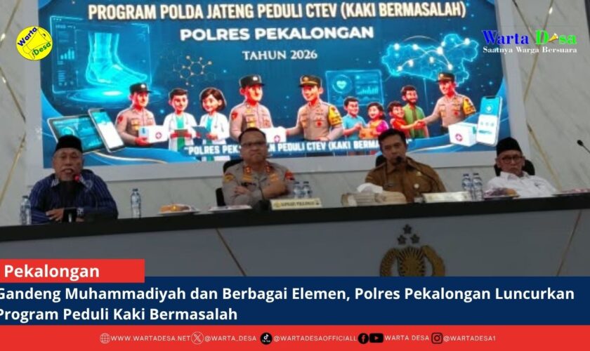 berita web