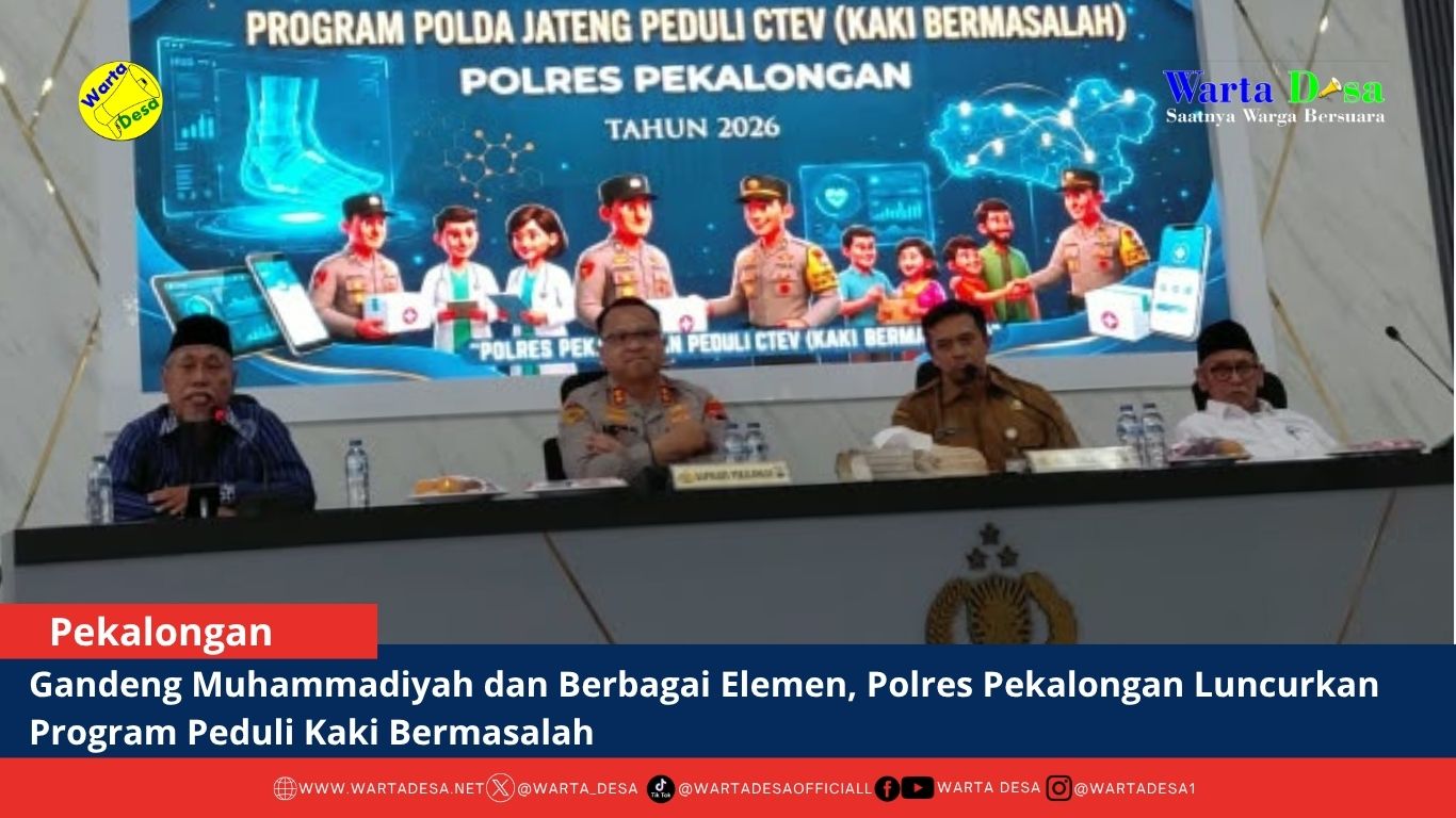 berita web