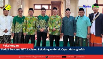 berita web(1)