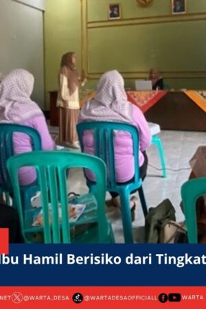 berita web(1)