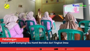 berita web(1)