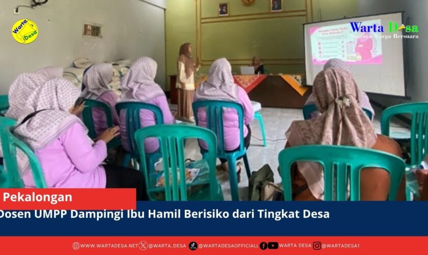 berita web(1)