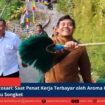 berita web(1)