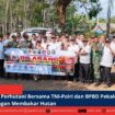 berita web(1)