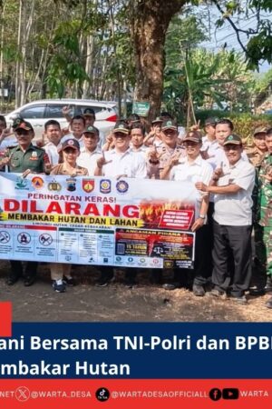 berita web(1)