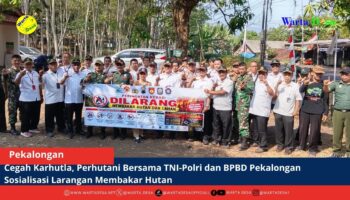 berita web(1)