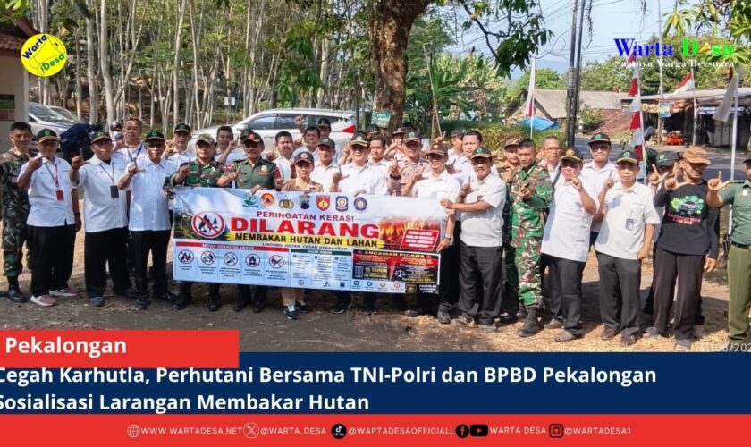 berita web(1)
