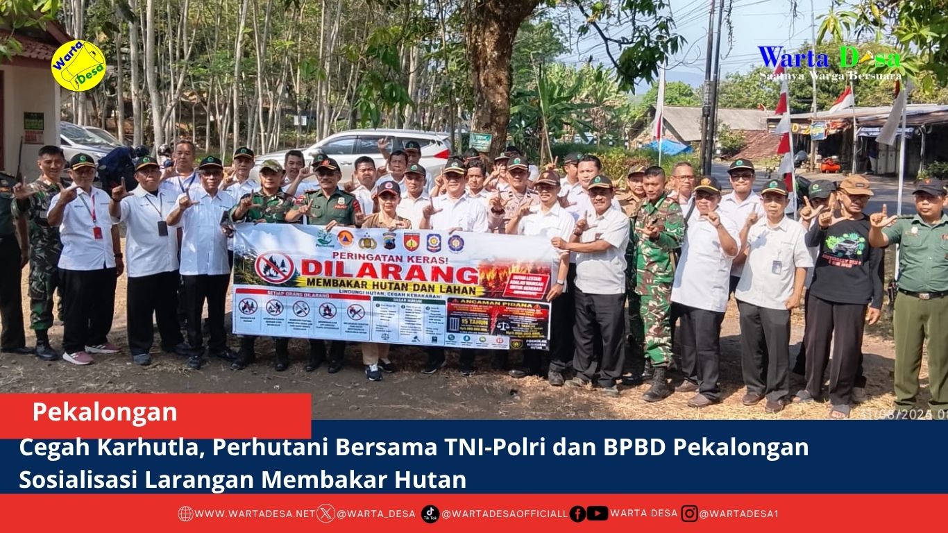 berita web(1)