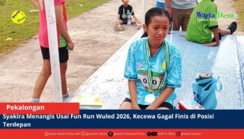 berita web(3)
