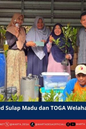 berita web(3)