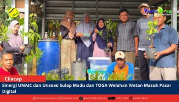 berita web(3)